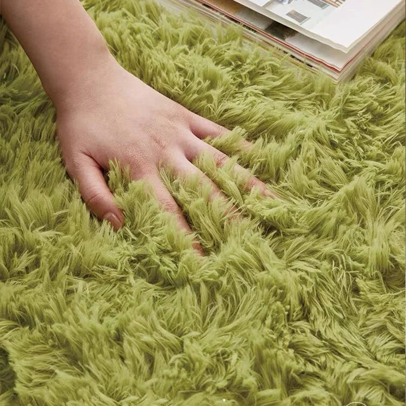 NONEDesign Plush Carpet Rug For Living Room And Home Decor
