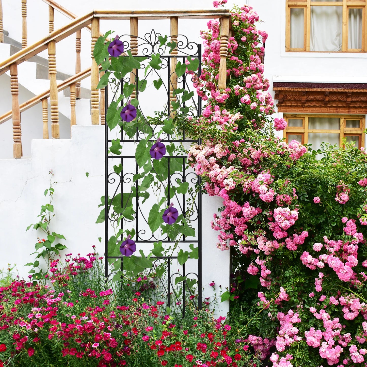 Iron Garden Border Trellis For Climbing Plants