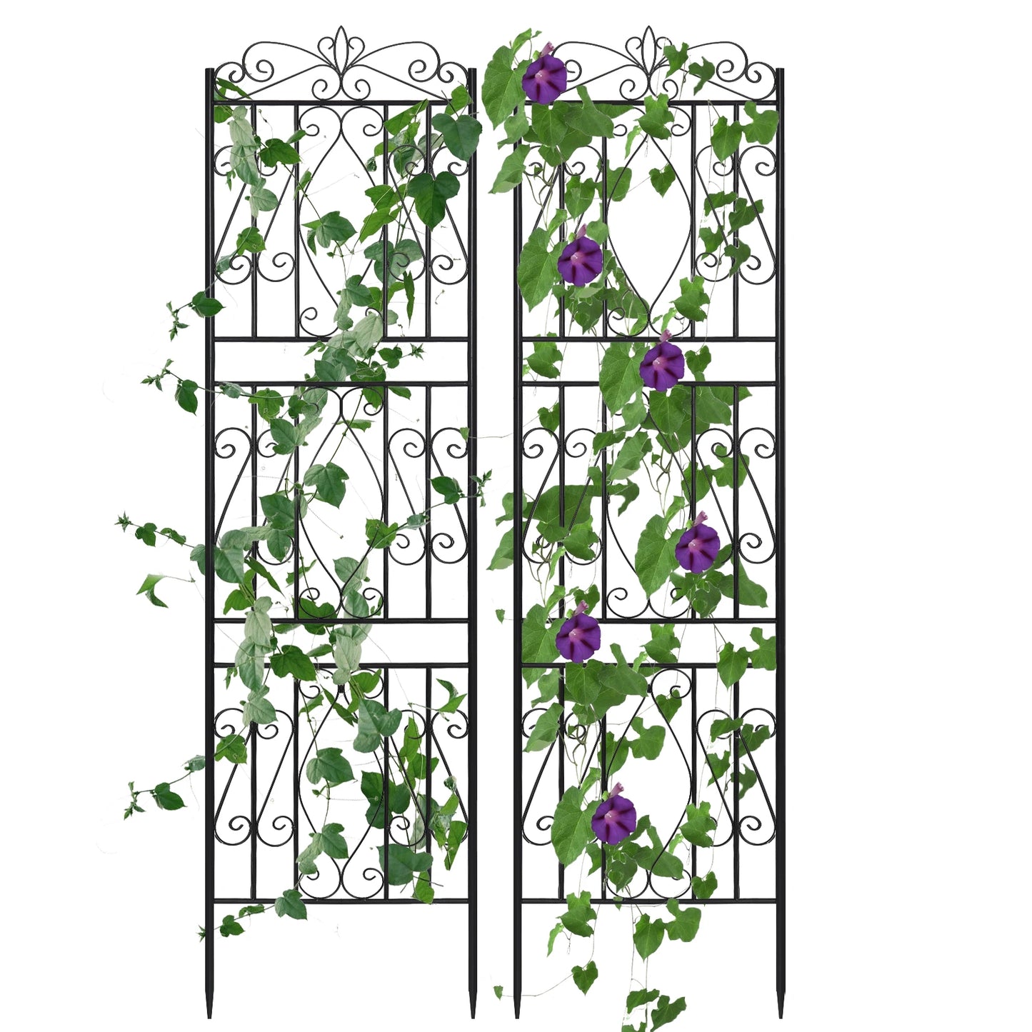 Iron Garden Border Trellis For Climbing Plants