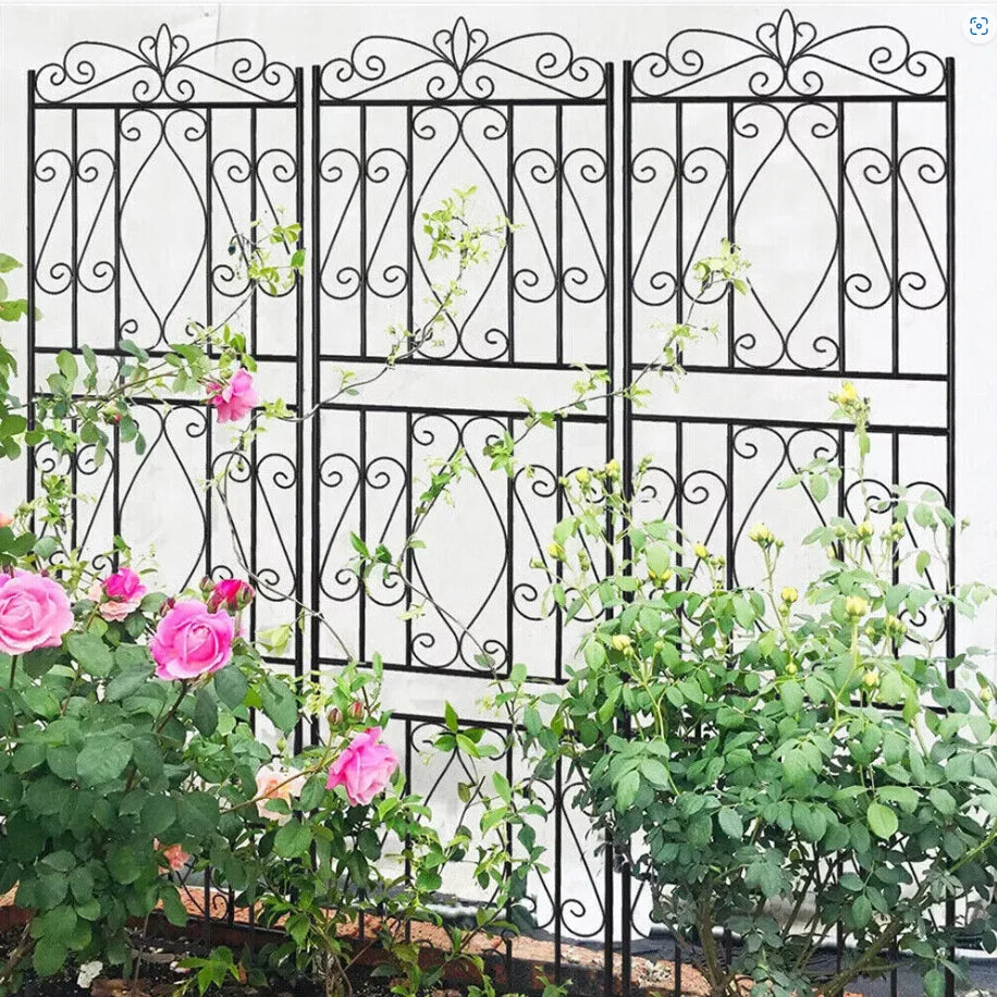 Iron Garden Border Trellis For Climbing Plants