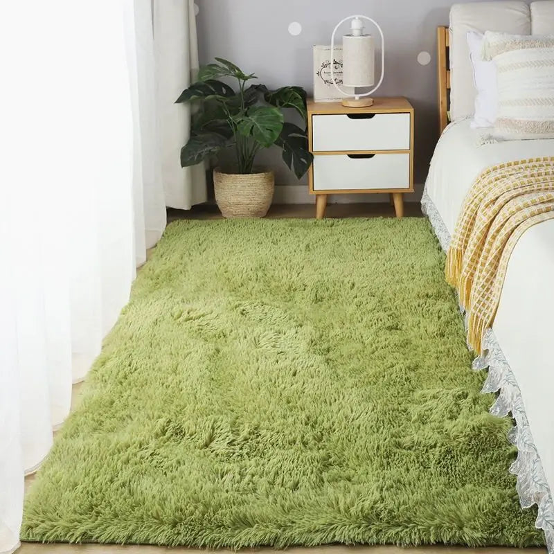 NONEDesign Plush Carpet Rug For Living Room And Home Decor