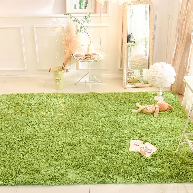 NONEDesign Plush Carpet Rug For Living Room And Home Decor